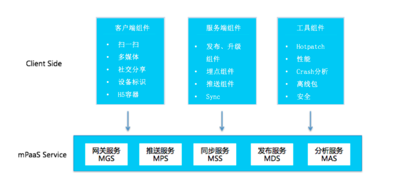 imageimage1_1747708895.2281058.png